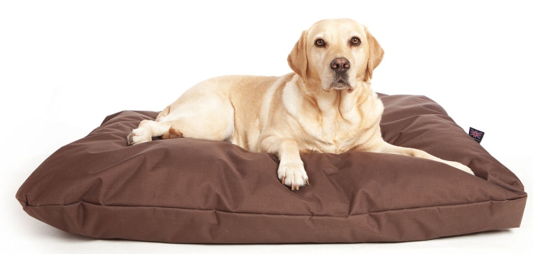 New Chocolate Brown Dog ruff Bed